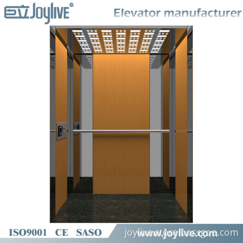 Luxury Personal Home Villa Elevator for 2 to 4 Persons